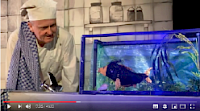 Der Koch und der Zauberfisch