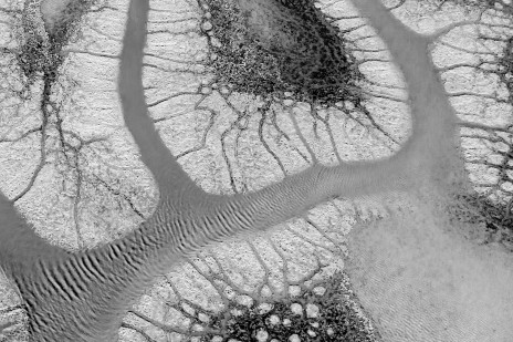 Transit in the House of Cancer