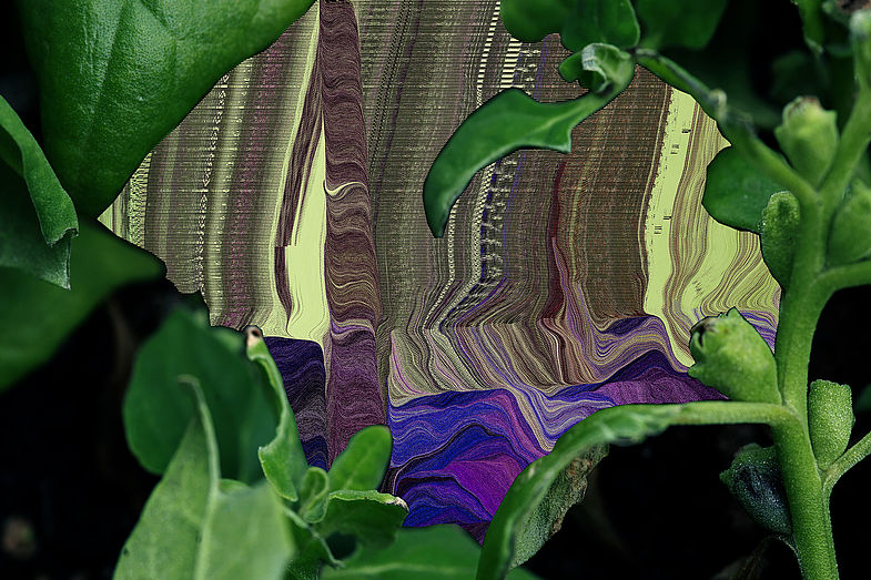 A Scroll Through the Garden of Tangled Data