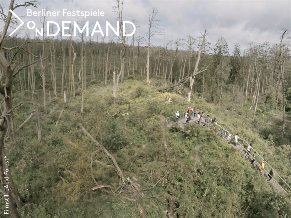 Rugilė Barzdžiukaitė: Acid Forest