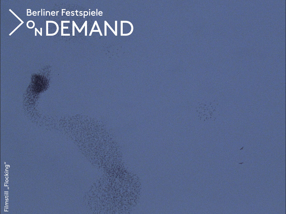 Armin Linke: Flocking (2008)