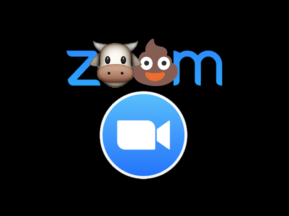 Zoom Bullshit Competition!