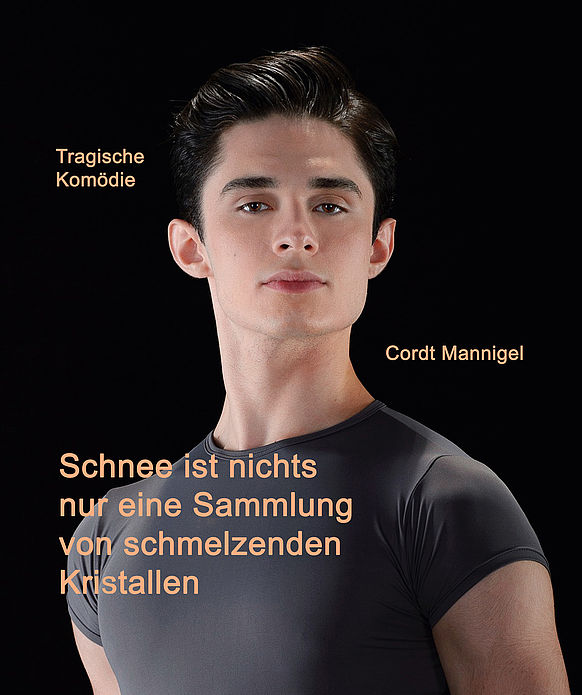 Schnee ist nichts nur eine Sammlung schmelzender Kristalle
