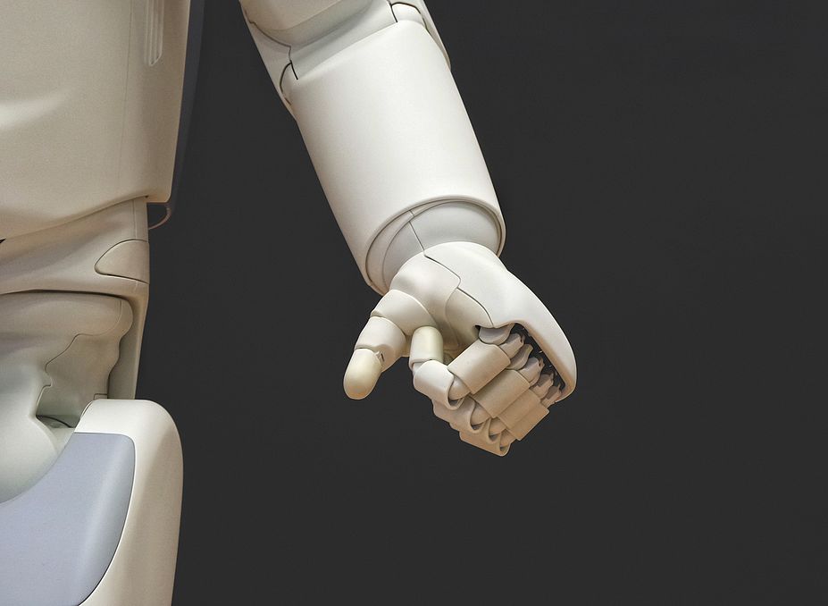 Robotopia Nipponica Revisited