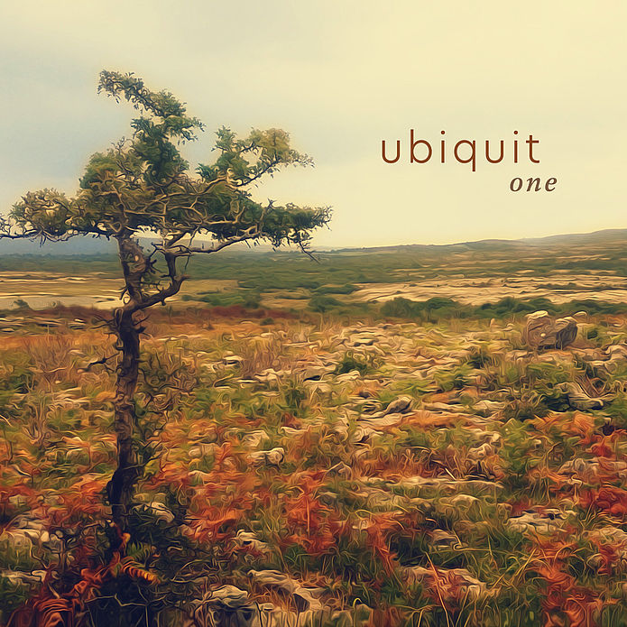 Ubiquit Release im tik Livestream