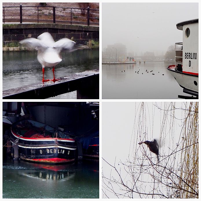 Solo Kiezführung Historischer Hafen Berlin
