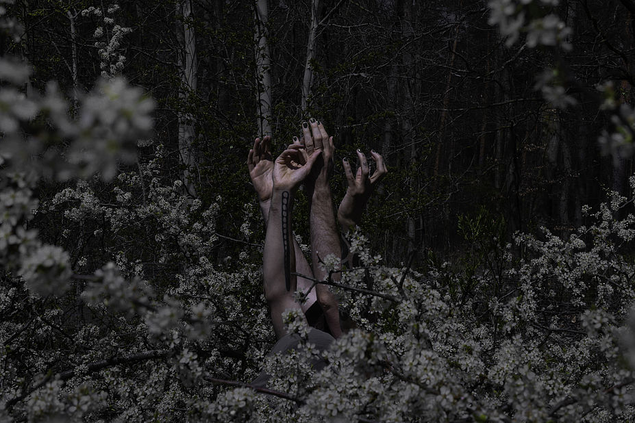 KARELIA — Alone Among the Trees