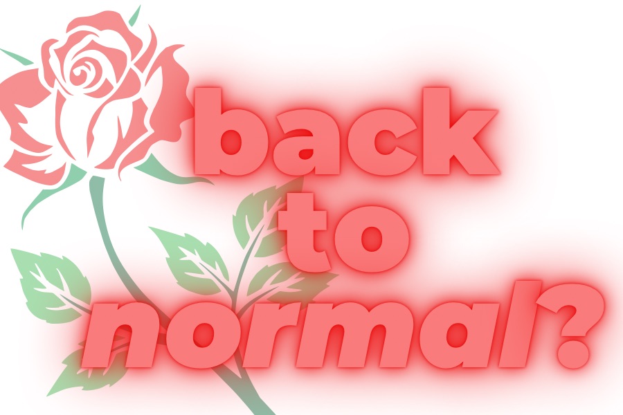 Normalität. Eine gefährliche Fiktion?